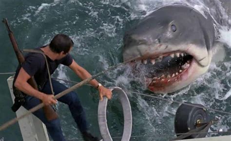 Original 'Jaws' Shark Has Been Restored And Put On Display