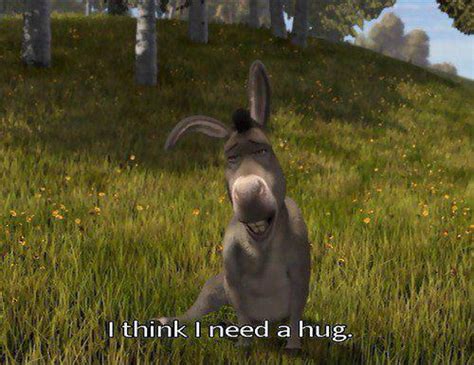 Funny Donkey From Shrek Quotes. QuotesGram