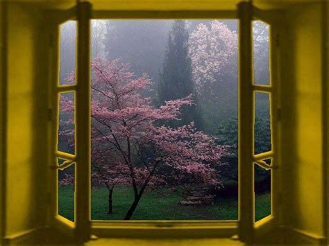 Window to the world | Window view, Window projects, Windows and doors