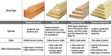 Staining Your Fence vs. Painting Your Fence: Which is a Better Option?