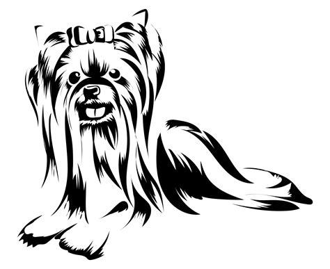 Yorkie Cartoon Drawing | Free download on ClipArtMag