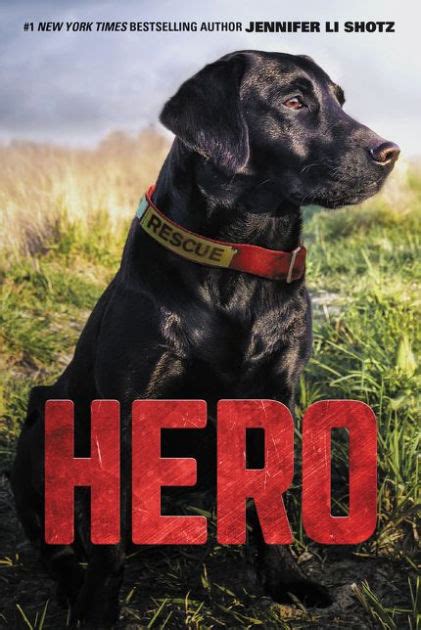 Hero (Hero Series #1) by Jennifer Li Shotz, Paperback | Barnes & Noble®