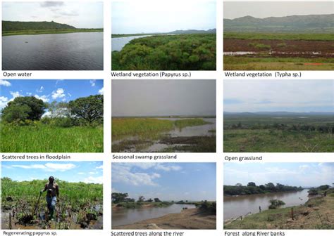 Photos showing different land cover types in the area. | Download ...