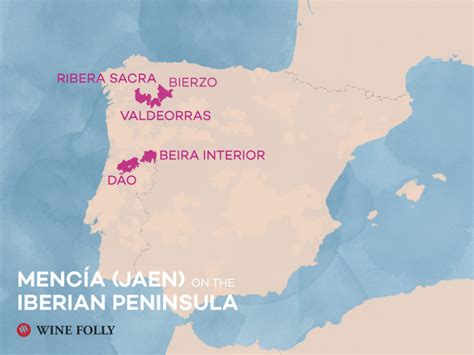 The Comprehensive Guide to Mencía | Wine Folly