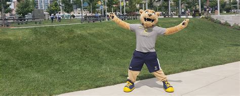 Joe Lion Mascot Program | Mount St. Joseph University