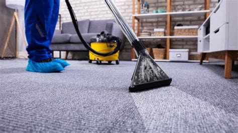 Average Carpet Cleaning Cost In 2024 – Forbes Home