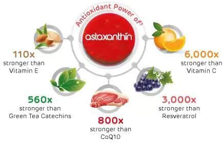 Where does astaxanthin come from? - Blog - Undersun Biomedtech Corp