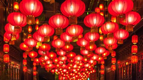 Chinese new year lanterns - backiee