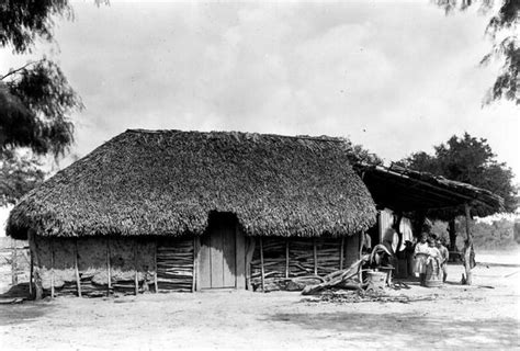 Thatched Mexican home or jacal on a ranch | Mexican home, Trees to ...