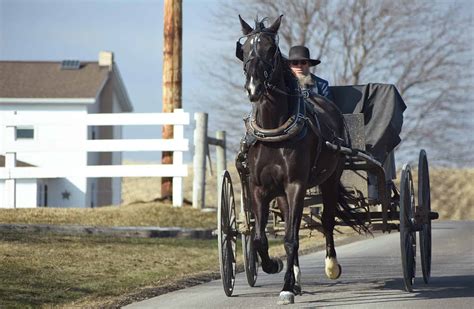 Amish Holidays - Religious Holidays Today - Amish Heritage