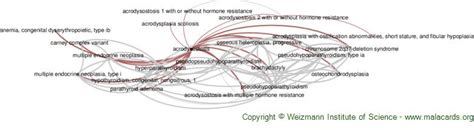 Acrodysostosis disease: Malacards - Research Articles, Drugs, Genes, Clinical Trials