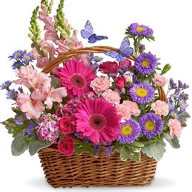 Phillip's Flowers Florist & Flower Delivery in Chicago, Naperville, Wheaton