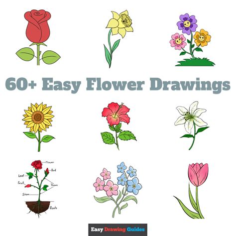 Easy Flower Drawings For Kids