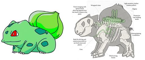 Anatomy of a Bulbasaur