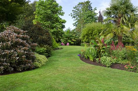 Linda Cochran's Garden: More Garden Views