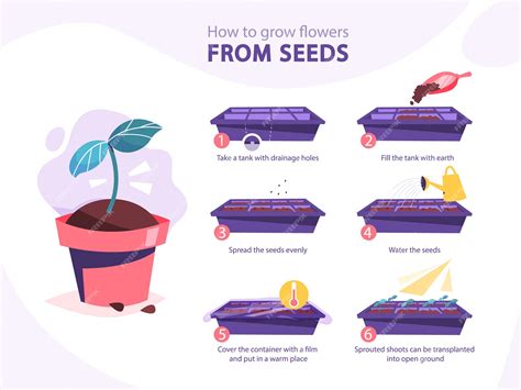 Premium Vector | Growing a plant guide. how to grow a flower step-by-step