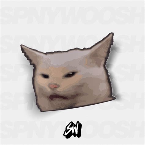 Confused Cat Meme Decal | Spinnywhoosh Graphics