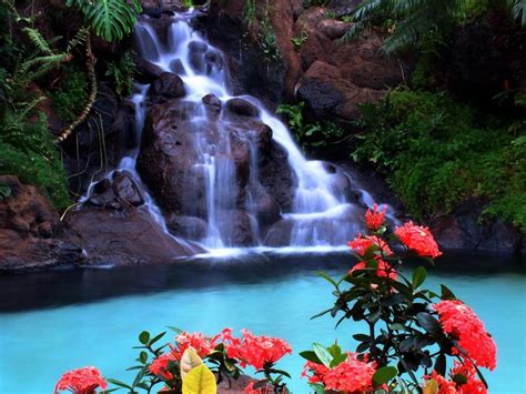 Beautiful Waterfall Pictures, Photos, and Images for Facebook, Tumblr ...