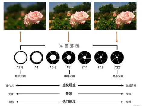 曝光景深与镜头的摄影知识_景深对畸变有影响吗-CSDN博客