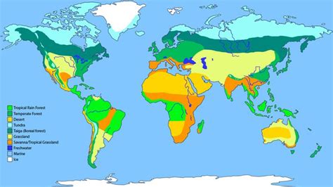 World Biome Map Coloring Worksheet – Englishworksheet.my.id