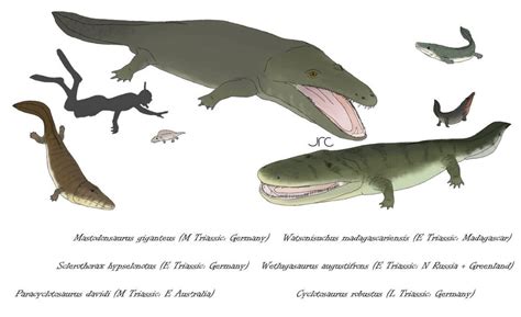 Crocomanders1 - Capitosaurs by artbyjrc on DeviantArt | Prehistoric animals, Extinct animals ...