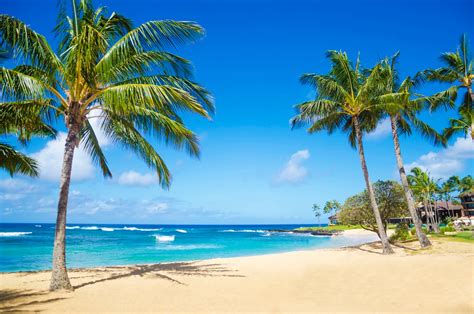 The 5 Best Beaches in Hawaiʻi in 2021 - Hawaii Magazine