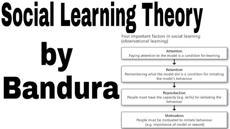 🎉 Albert bandura observational learning. How Albert Bandura's Social Learning Theory Works. 2019 ...