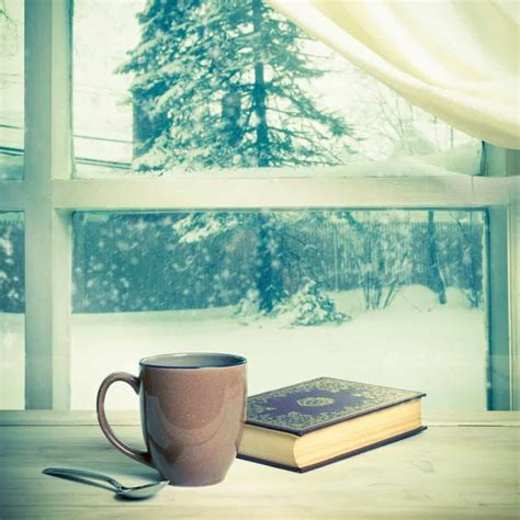 55+ Most Beautiful Winter Book Quotes 2024