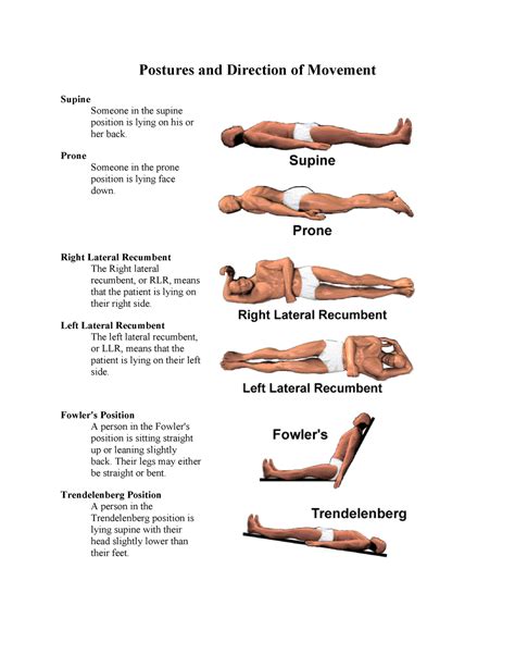 Postures & Direction of Movement - Postures and Direction of Movement ...