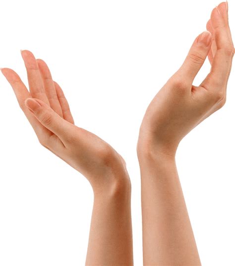 Hands Png Hand Image Transparent HQ PNG Download | FreePNGimg