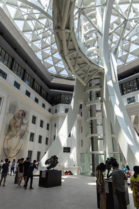 People Viewing National Museum of Natural History Exhibits, Manila ...