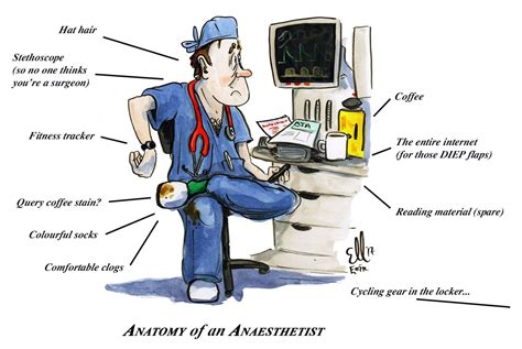 Anatomy of an Anaesthetist – A Second Opinion | Eoin Kelleher | Medical school inspiration ...