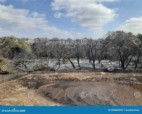 Parmer Lane Brush Fire Damage Stock Image - Image of plant, landscape ...