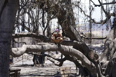 Photos From Lahaina, After the Fire - The Atlantic