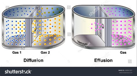 Grahams Law Gas Diffusion Effusion: เวกเตอร์สต็อก (ปลอดค่าลิขสิทธิ์) 438061057 | Shutterstock