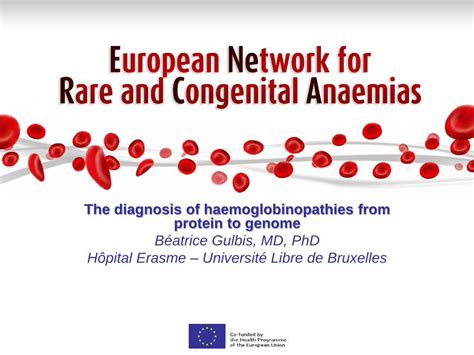 (PDF) The diagnosis of haemoglobinopathies from protein to - Enerca - DOKUMEN.TIPS