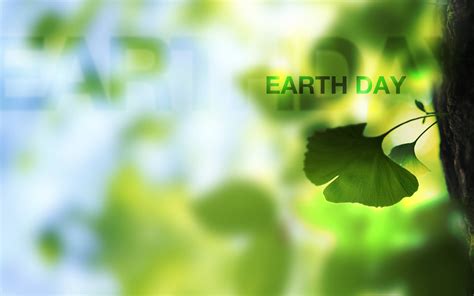Download Earth Day Leaves Wallpaper | Wallpapers.com