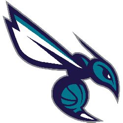 Charlotte Hornets Alternate Logo | Sports Logo History