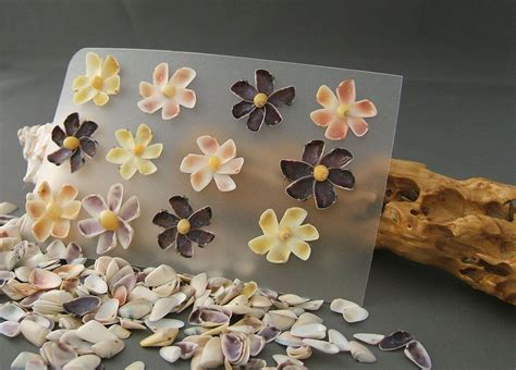 Seashell Flowers Set of 12 handmade Couquina Shell Flowers