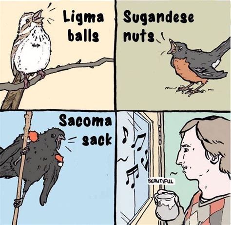 Ligma balls / Sugandese nuts / Sacoma sack / beautiful | Ligma | Know Your Meme