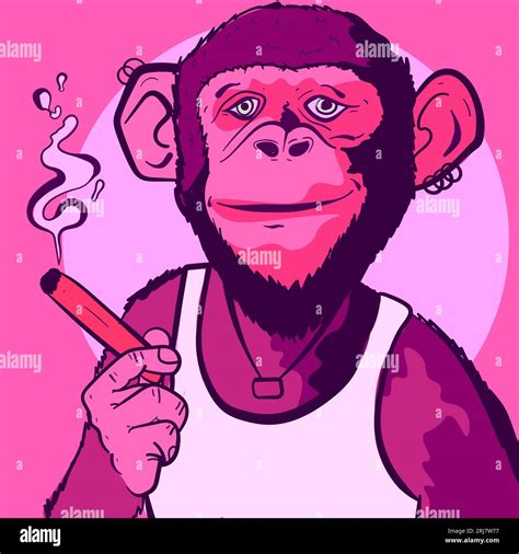 Funny Monkeys Smoking Weed