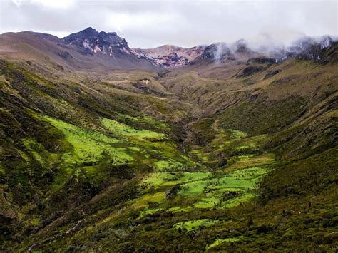 Guided Hiking Tour in Los Nevados National Park in Colombia