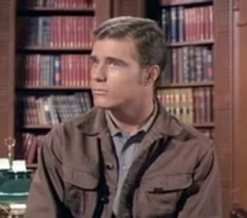 Charles Briles as Eugene Barkley, the youngest Barkley son - The Big Valley | Western movies, Tv ...