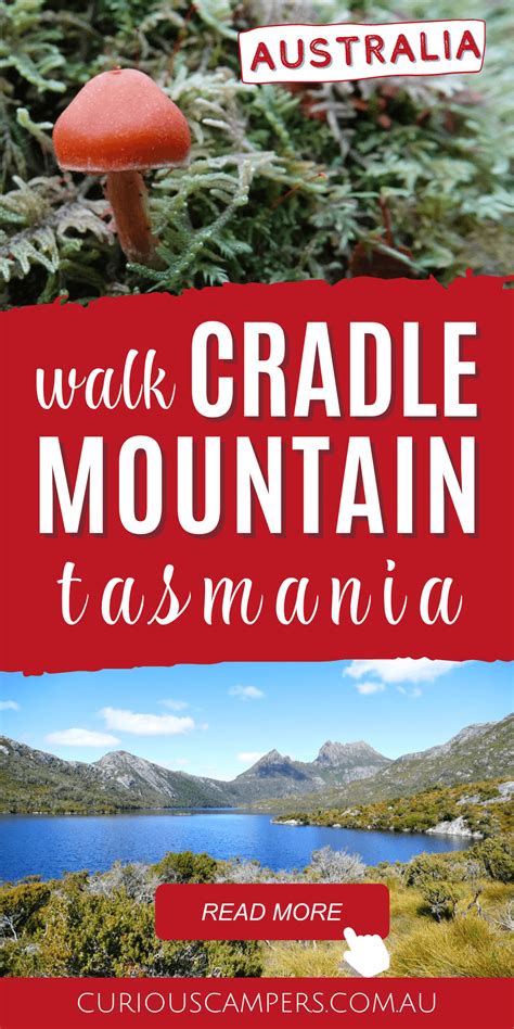 Best Cradle Mountain Short Walks