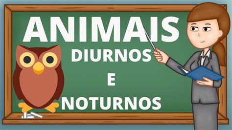 ANIMAIS DIURNOS E NOTURNOS - YouTube