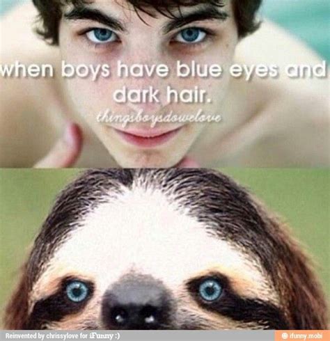 Creepy Sloth Funny Sloth Memes - bmp-beaver