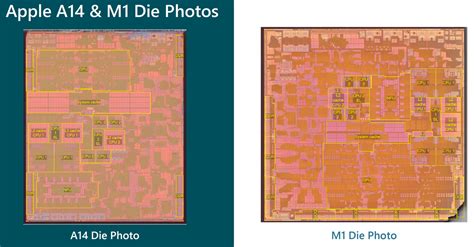 Die Shots of Apple's A14 Bionic & M1 SoCs Compared: Same Architecture, Different Goals | Flipboard