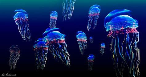 Animated Jellyfish Wallpaper - WallpaperSafari