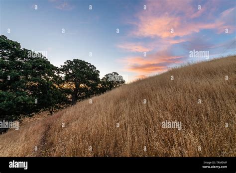 Mount Diablo State Park Stock Photo - Alamy