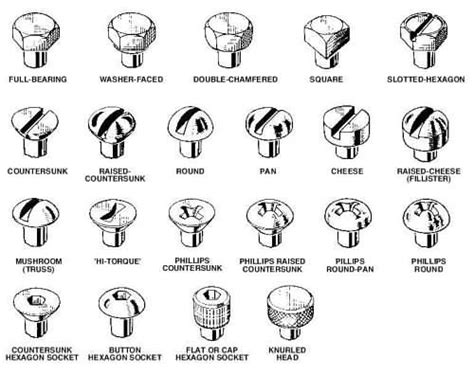 Different Types of Screws and their Uses | Mutual Screw & Supply ...